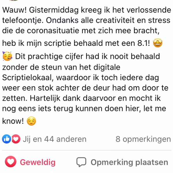 Review scriptie lokaal