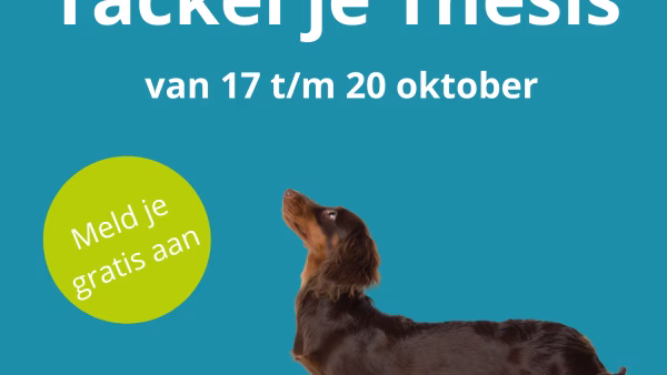 GRATIS Scriptie Challenge!