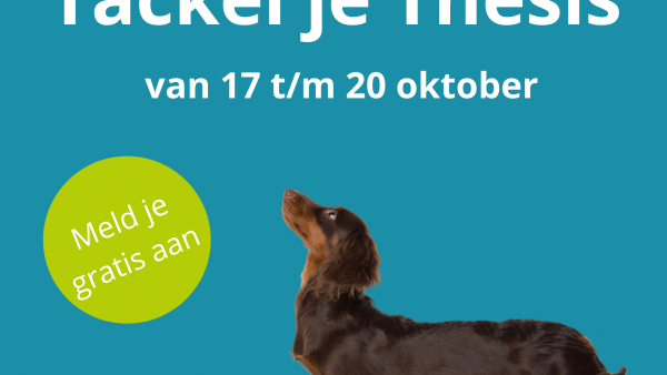 GRATIS Scriptie Challenge!