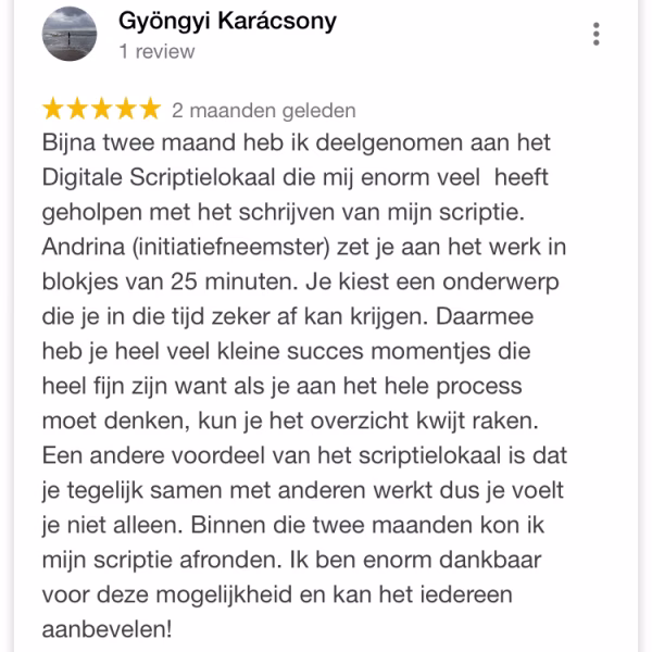 Voorbeeld rooster in de online omgeving van het Scriptielokaal