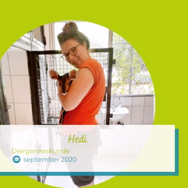Hedi